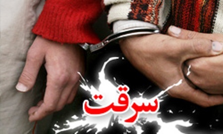 دستگیری زوج سارق در محمودآباد
