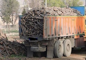 عامل قطع درختان جنگلی در بانه دستگیر شد