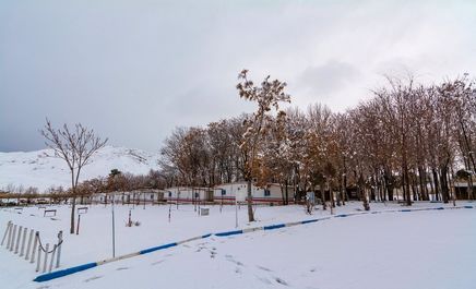 برف زمستانی در چشمه‌علی دامغان +تصاویر