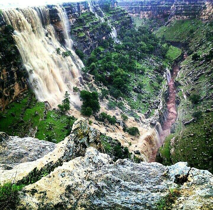 اینجا آمازون نیست! + تصویر