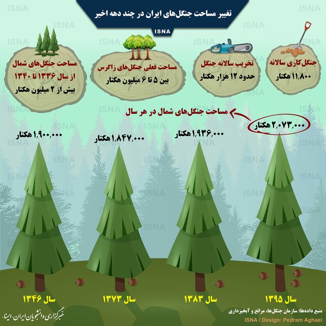 وضعیت گذشته و حال جنگل‌های کشور + اینفوگرافیک