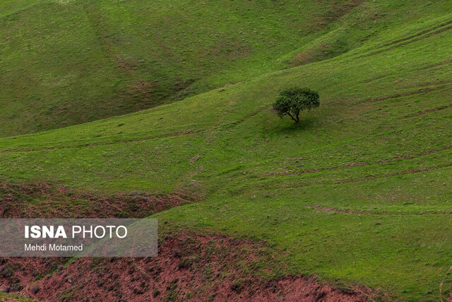 وضعیت دمای هوای ایران در بهاری که گذشت