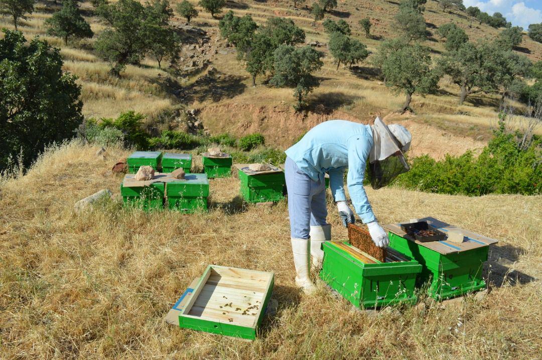 کلنگ ایجاد ۱۲۰۰ طرح اشتغال‌زایی بنیاد برکت در آذربایجان غربی بر زمین زده شد