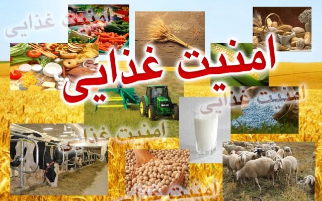 با استانداردهای جهانی سلامت غذا فاصله داریم