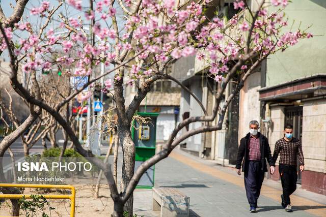 جمله کلیشه‌ای عمر دست خداست، کار دستتان ندهد!