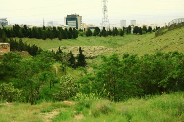 ورود خودرو به پارک طبیعت پردیسان ممنوع شد