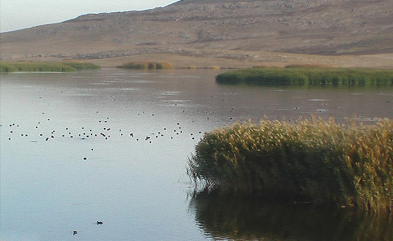 خبر خوش برای تالاب هامون جازموریان/ افزایش سطح آبگرفتگی در نتیجه سیل اخیر؛ جان دوباره به تالاب بخشید