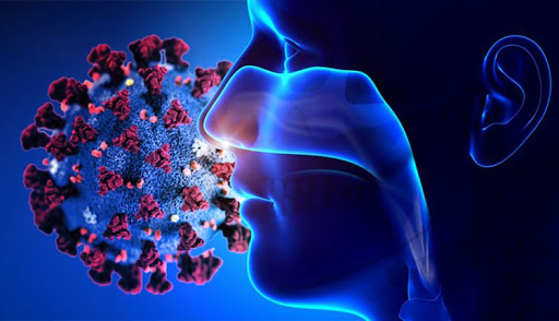 بازگشت حس بویایی ۸۰ درصد بیماران کرونایی