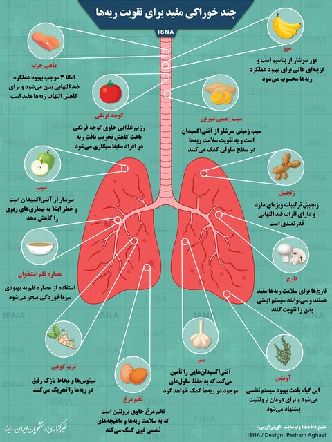 اینفوگرافیک / چند خوراکی مفید برای تقویت ریه‌ها