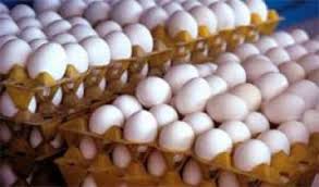 توقیف بیش از ۳ هزار کیلوگرم تخم مرغ خارج از شبکه توزیع در بوکان