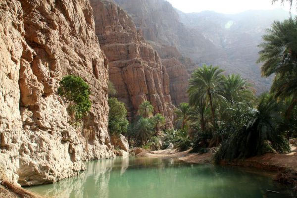 سفر به عمان زیبا/ گشت و گذار در مسجد سلطان قابوس و وادی شاداب